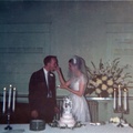 fitzpatrick wedding 1